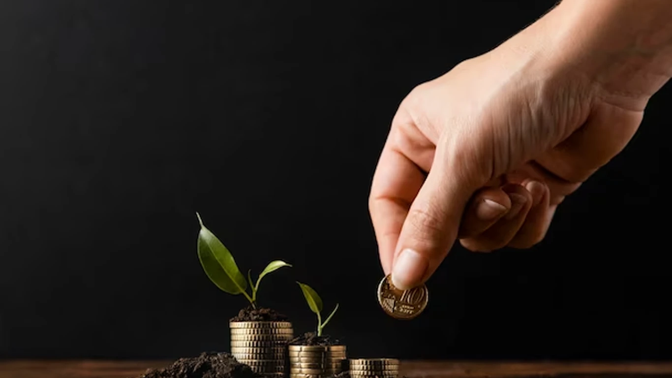 A Student's Simple Beginner's Guide To Navigating Seed Funding